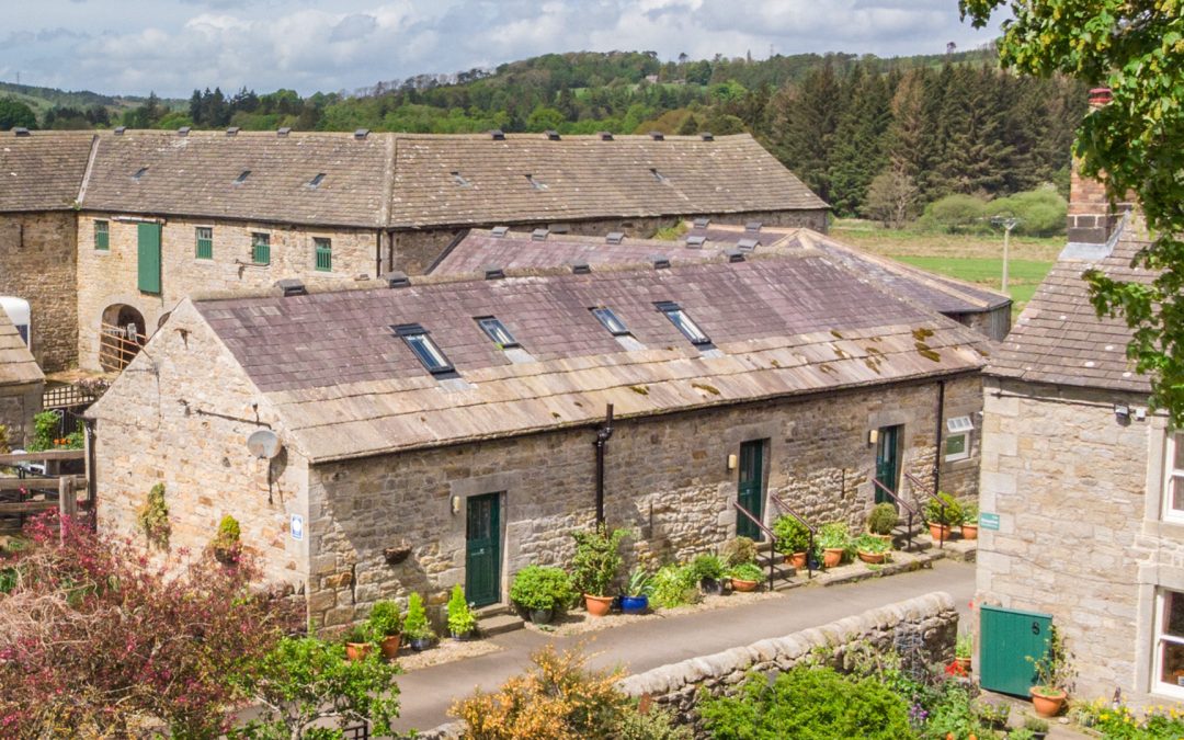 wydon farm