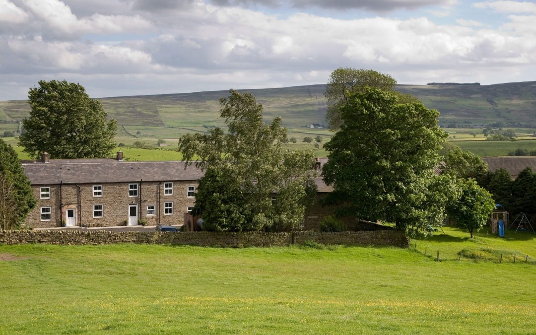 kellah farm